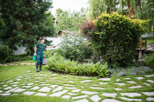 Best Affordable Pest Control Services  in Lake Shastina, CA