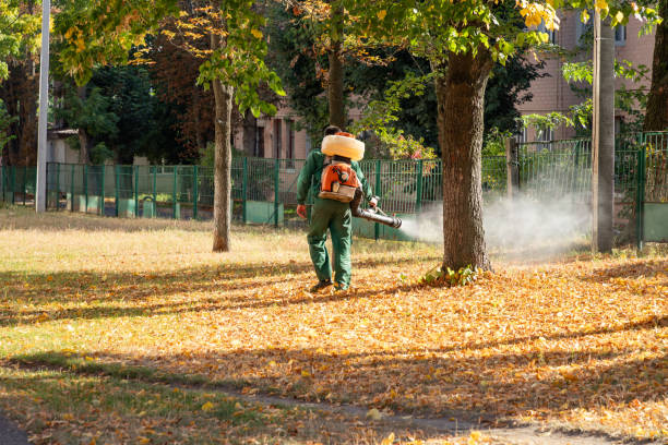 Best Wildlife Control Services  in Lake Shastina, CA