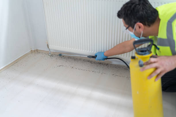 Best Best Pest Control Companies  in Lake Shastina, CA